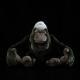 Silverback Gorilla Plush Toy