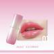 Universal Moisturizing Lip Gloss