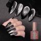 Extremely Black Spar Cats Eye Flashing Dark Fairy Style Nail Polish
