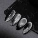 Extremely Black Spar Cats Eye Flashing Dark Fairy Style Nail Polish