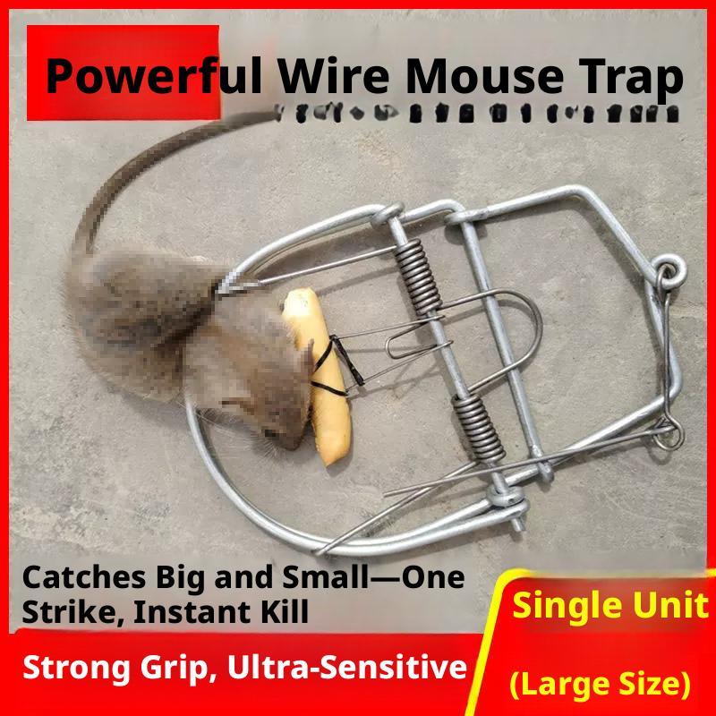 Mouse trap-large-1 pack - Option1