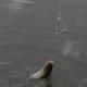 Fishing Artifact, Automatic Fishing Hook, Magic Hook, Tying Fishing Gear