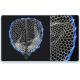 Luyada Dip Net Aluminum Alloy Multi-section Telescopic Rod