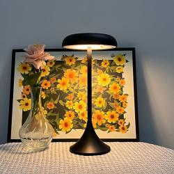 Creative Desk Lamp Bedroom And Living Room Decorative Light