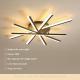 Simple Modern Home Ceiling Light Fixture