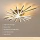 Simple Modern Home Ceiling Light Fixture