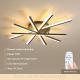 Simple Modern Home Ceiling Light Fixture