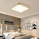 Modern Minimalist LED Ceiling Light For Home Use