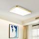 Modern Minimalist LED Ceiling Light For Home Use