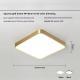 Modern Minimalist LED Ceiling Light For Home Use