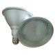 Outdoor Waterproof LED PAR38 Spotlight