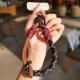 Outdoor Portable Travel Tag Woven Phone Lanyard