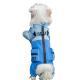 Autumn And Winter Dog, Small And Medium-sized Dog Teddy Outdoor Windproof, Waterproof, Three-proof Raincoat, Four-legged Cotton Coat, Pet Clothing