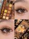 Explorer Twelve-color Animal Eye Shadow Plate