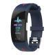 Color Screen ECG PPG Electrocardiogram, Heart Rate And Blood Pressure Multifunction