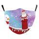 Christmas Snowflake Digital Printing Double-layer Dust Mask