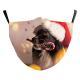 Christmas Snowflake Digital Printing Double-layer Dust Mask