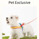 Saddle-type Chest And Back Dog Leash, Dog Walking Leash For Small And Medium-sized Dogs, Explosion-proof And Impact-resistant Pet Dog Leash