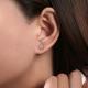 Cao Shi Cross-border Exquisite Ear Studs Fashionable Two-tone Waterdrop Zircon
