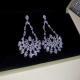 Sterling Silver Needle Flower Geometric Zircon Tassel Earrings Luxury Niche Designer Ear Ornaments