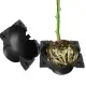 Plant Rooting Device Grow Graft Box High Pressure Propagation Ball - Tk&temu Self-pickup Orders