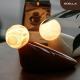 The Waterbird Moon - Luxury Spanish Alabaster & Aluminum Lamp