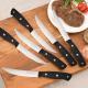 8-Piece 4.5-Inch Steak Knife Set, Carbon Steel Double Bevel, With Eco-Friendly POM Handles And Gift Box