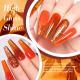 Nail Polish Transparent Color UV Polish 50 Colors