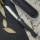 Portable Mini Folding Pocket Knife