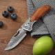 Portable Household Use Damascus Steel Folding Fruit Knife