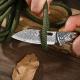 Portable Household Use Damascus Steel Folding Fruit Knife