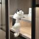 Simulated cat ornaments-hanging cat yellow block-1 piece-bagged - Option1