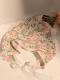 Lace and lace headscarf-pink floral-1 piece - Option1