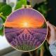 Lavender Field Embroidery Kit