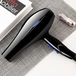 Professional Hair Dryer Nozzle Low Noise  Ionic Blow Dryerwith Diffuser Blu