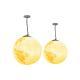 Solar Outdoor Ambient Decor Lights