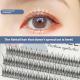 V-shaped Fairy Fishtail False Eyelashes Thick Segment