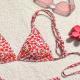 Beach Bikini European And American Style Lace-up Swimsuit New Style