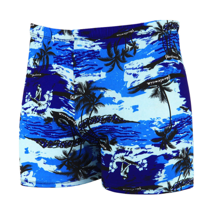 Mens Casual Comfortable Quick-Drying Swimming Trunks