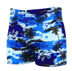 Mens Casual Comfortable Quick-Drying Swimming Trunks