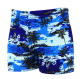 Mens Casual Comfortable Quick-Drying Swimming Trunks