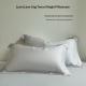 Summer Minimalist Solid-color Tencel Pillowcase