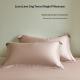 Summer Minimalist Solid-color Tencel Pillowcase