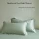 Summer Minimalist Solid-color Tencel Pillowcase