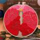 Creative Handmade Embroidery Simple Material Package