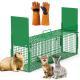 32in 2 Door Live Animal Cage Trap With Glove Green For Animals Under 12LBS Easy To Setup Humane Galvanized Iron Trap Cage For Rabbits Groundhogs Skunk Opossums Nutria Stray Cats