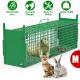 Live Animal Cage Trap For Animals Humane Galvanized Iron Trap Cage For Raccoons Armadillos Foxes Opossums Muskrats Beavers 26in 32in 40in Size Options Green