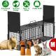 Live Animal Cage Trap For Animals Humane Galvanized Iron Trap Cage For Raccoons Armadillos Foxes Opossums Muskrats Beavers 26in 32in 40in Size Options