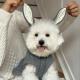 Simple Warm Pet Clothes Cape And Shawl