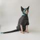 Dralon Bellyband Four-legged Pet Clothing Bottoming Shirt